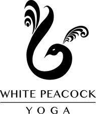 WPY-LOGO-BLACK copy